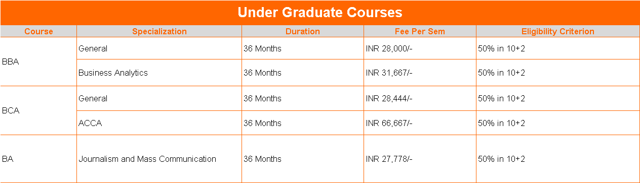 Amity Online UG Courses