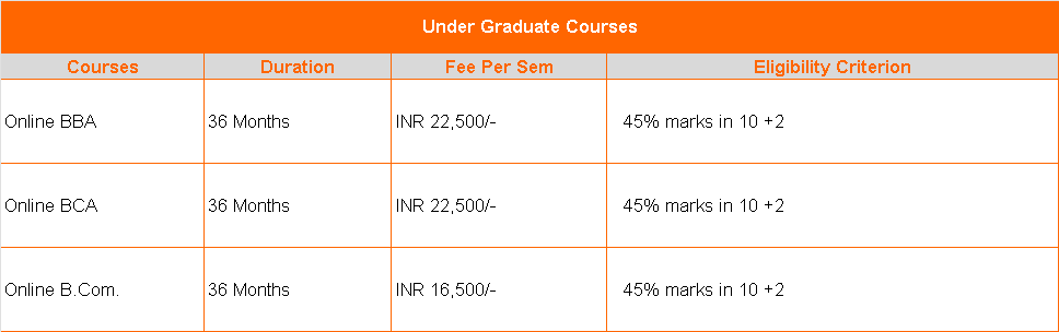 Amity Online UG Courses